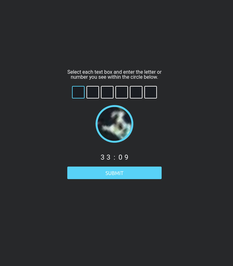 TorZon CAPTCHA Interface